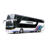 Doppelstöcker-Busse